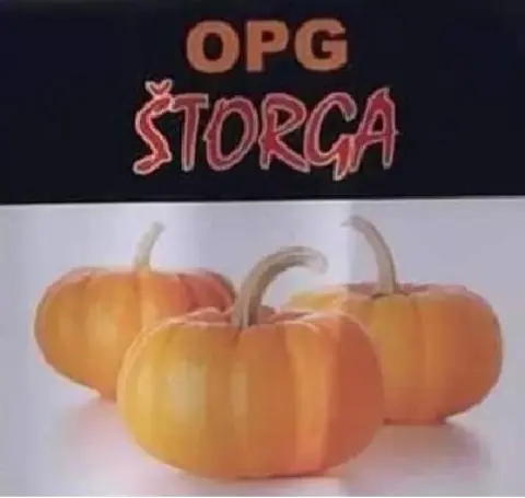 21_OPG_Sturga